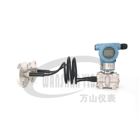 雙法蘭液位變送器 雙法蘭液位變送器
